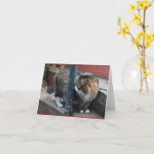 ハンサムな虎猫の挨拶状 カード (黄色い花)