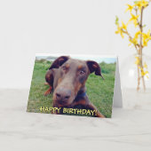 ハンサムな赤いドーバーマンの誕生日カード カード (黄色い花)