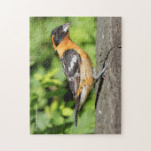 ハンサムな黒い頭のグローブクのクローズアップ ジグソーパズル (縦)