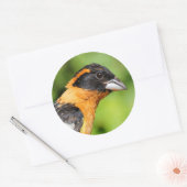 ハンサムな黒い頭のグローブクのクローズアップ ラウンドシール (封筒)