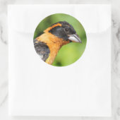 ハンサムな黒い頭のグローブクのクローズアップ ラウンドシール (バッグ)