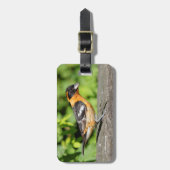 ハンサムな黒い頭のグローブクのクローズアップ ラゲッジタグ (正面縦)