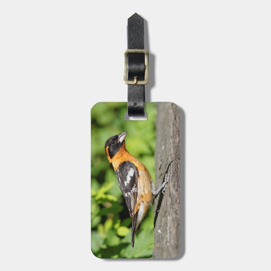 ハンサムな黒い頭のグローブクのクローズアップ ラゲッジタグ (正面縦)