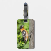 ハンサムな黒い頭のグローブクのクローズアップ ラゲッジタグ (裏面縦)