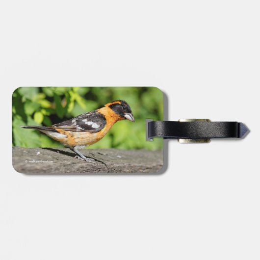 ハンサムな黒い頭のグローブクのクローズアップ ラゲッジタグ