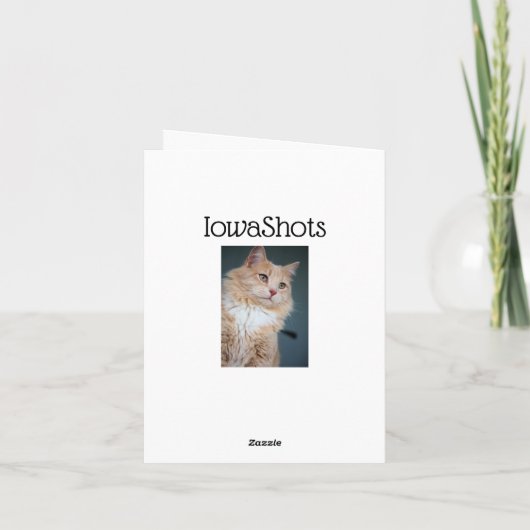 ハンサムな カード (裏面)