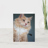 ハンサムな カード (正面)