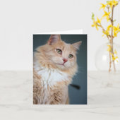 ハンサムな カード (黄色い花)