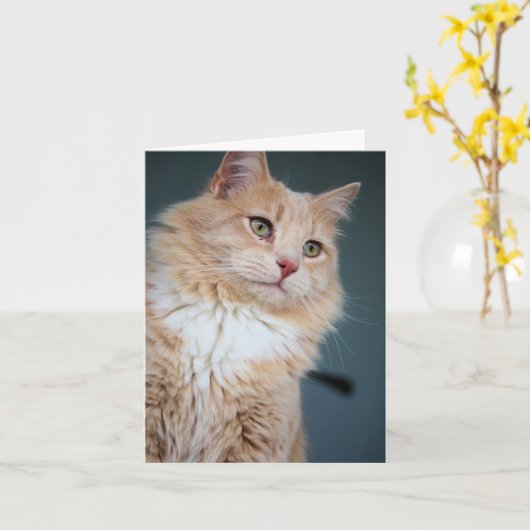 ハンサムな カード (黄色い花)