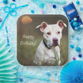 ハンサムホワイトピットブル誕生日 ペーパープレート (パーティー)