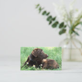 ハンサムラブラドールレトリバー写真動物気に 名刺 (スタンド正面)