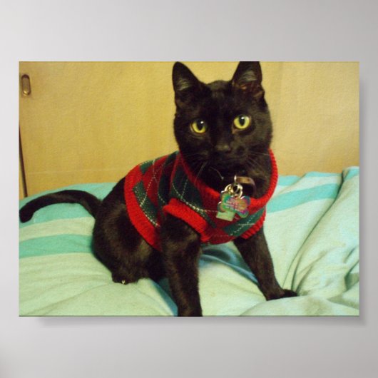 ハンサム晴明ポスタープリント ポスター (正面)