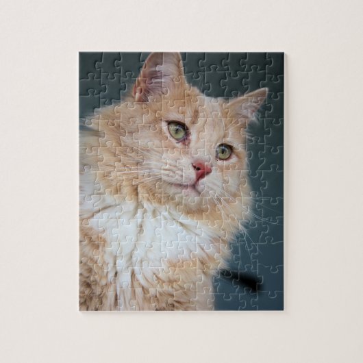 ハンサム氏 ジグソーパズル (縦)