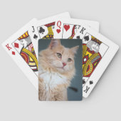 ハンサム氏 トランプ (裏面)