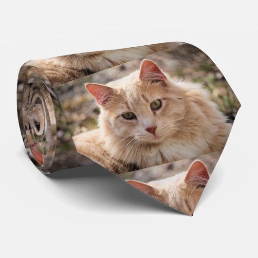 ハンサム氏 ネクタイ (ロール)