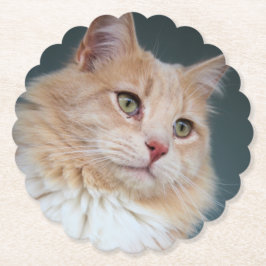 ハンサム氏 ペーパーコースター