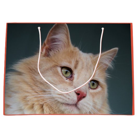 ハンサム氏 ラージペーパーバッグ (正面)