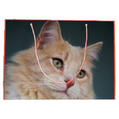 ハンサム氏 ラージペーパーバッグ (裏面)