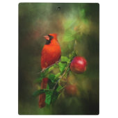 ハンサム男性（鳥）ショウジョウコウカンチョウ クリップボード (裏面)