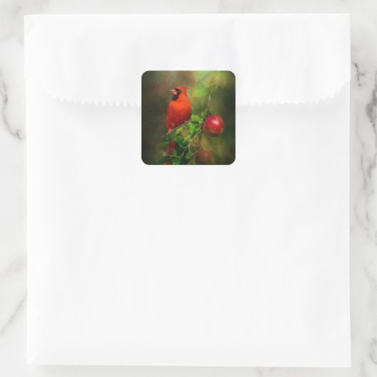 ハンサム男性（鳥）ショウジョウコウカンチョウ スクエアシール (バッグ)