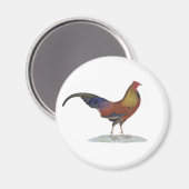 ハンサム・アラート・ルースター マグネット (正面/裏面)