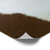 ハンサム・ソニー ポスター (角)