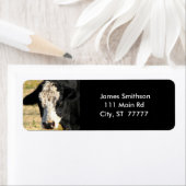 ハンサム・ブル ラベル (インサイチュ)