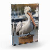 ハンサム・ペリカン フォトブロック (左)