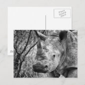 ハンサム ポストカード (正面/裏面)