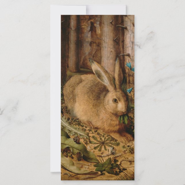 ハンスホフマン森のウサギ (正面)
