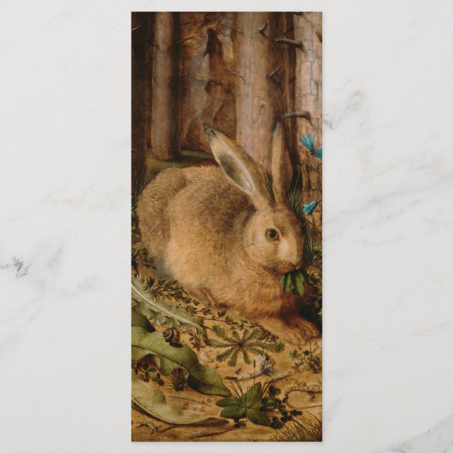 ハンスホフマン森のウサギ (正面)