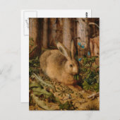 ハンス・ホフマン 『森の野うさぎ』 ポストカード (正面/裏面)