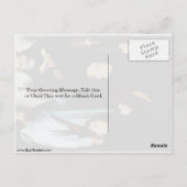 ハンス・メムリングによる創始者ジェイコブ・デ・クエンinc ポストカード (裏面)