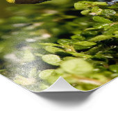 ハンセン病マンテラ、黒耳のマンテラ フォトプリント (角)