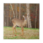 ハンターの夢の鹿 タイル (正面)