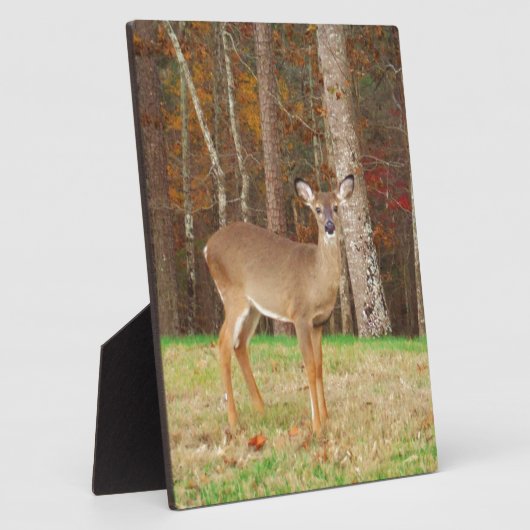 ハンターの夢の鹿 フォトプラーク (側面)