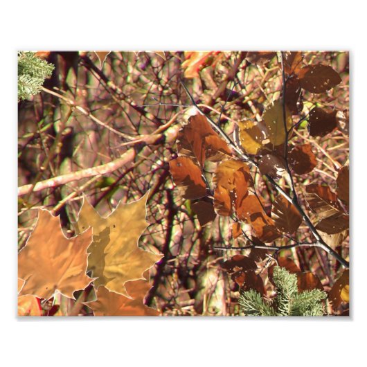 ハンターの迷彩柄カモフラージュ絵画のカスタマイズこれ! フォトプリント            (正面)