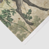 ハンターズコラージュデコページ紙 薄葉紙 (詳細)