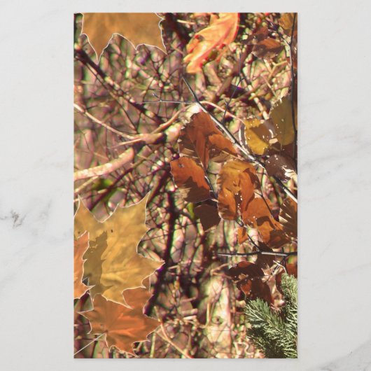 ハンターフォレスト絵画迷彩カスタマイズのこれだ チラシ (正面)