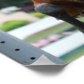 ハンターホースショーポスター ポスター (角)