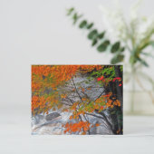 ハンターマウンテンストリーム ポストカード (スタンド正面)