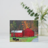 ハンターマウンテン ポストカード (スタンド正面)