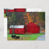 ハンターマウンテン ポストカード (正面/裏面)