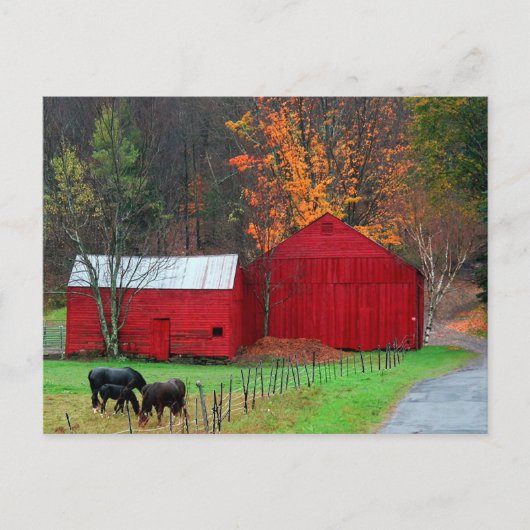 ハンターマウンテン ポストカード (正面)