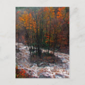 ハンター山の急流 ポストカード (正面)