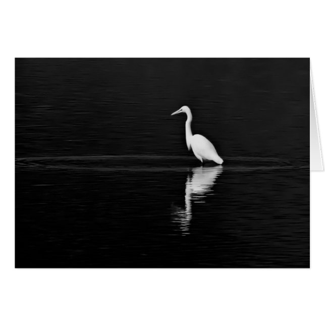 ハンター (正面横)