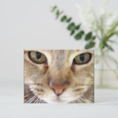 ハンター ポストカード (スタンド正面)