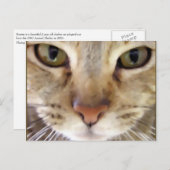 ハンター ポストカード (正面/裏面)