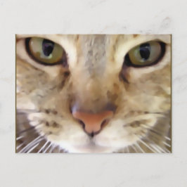 ハンター ポストカード