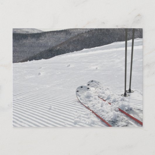 ハンター ポストカード (正面)